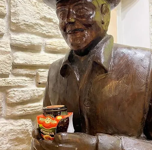 Dida Boza House 아파트 보디체