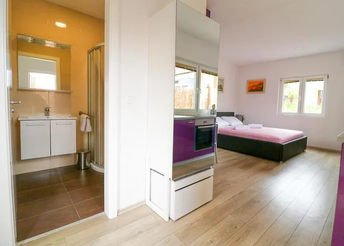 Dida Boza House Apartment *